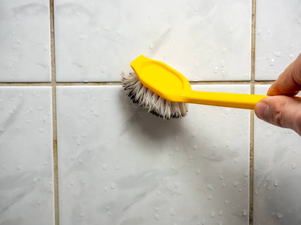 Trusted Stagecoach, NV Mold Removal Experts